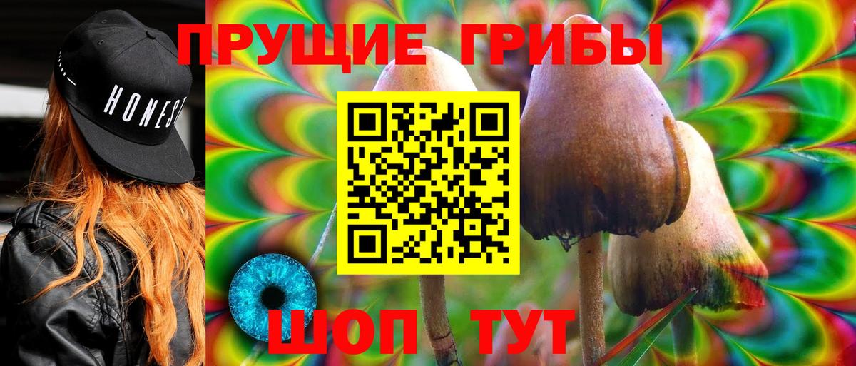 Псилоцибиновые грибы Psilocybine cubensis  Вход с VPN  Александров 